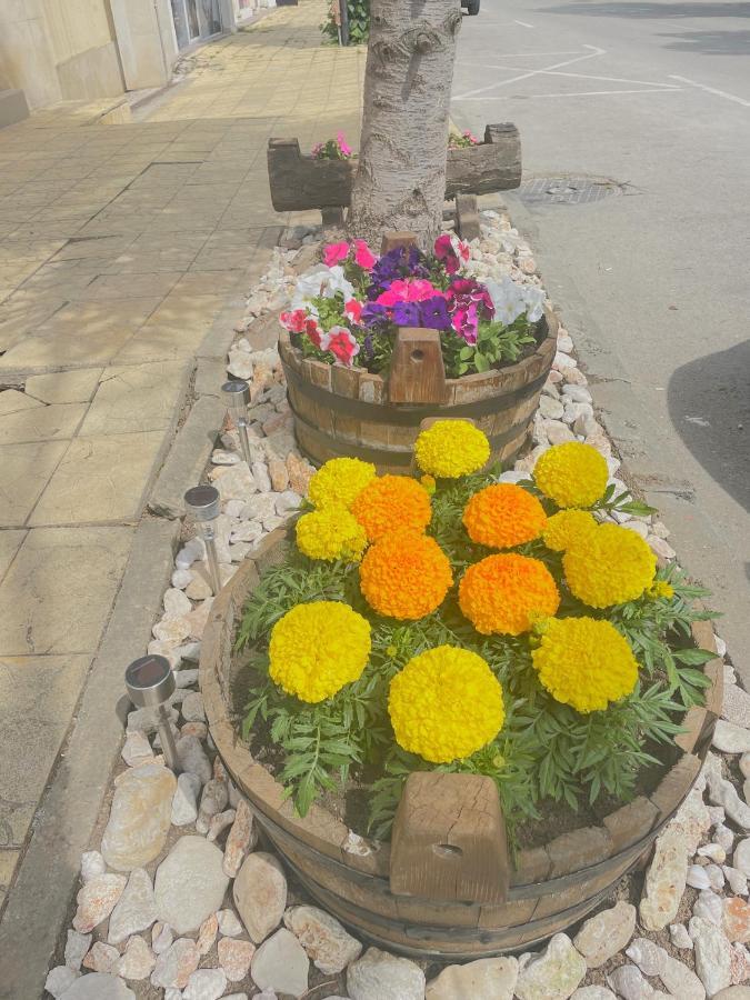 Family Hotel Morska Zvezda Balchik Exterior photo